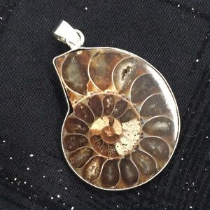 Pendant with silver plated trim